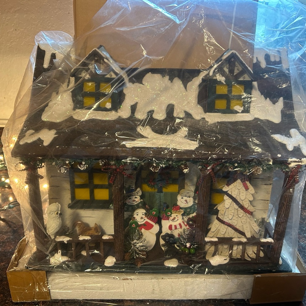 New home interiors fiber opticic snowy cabin.
